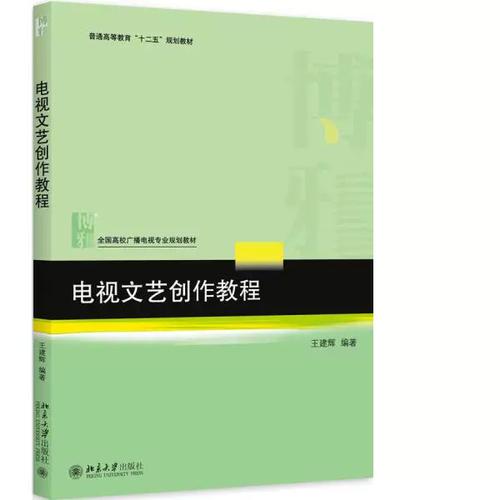 正版旧书电视文艺创作教程王建辉著北京大学出版社9787301259054